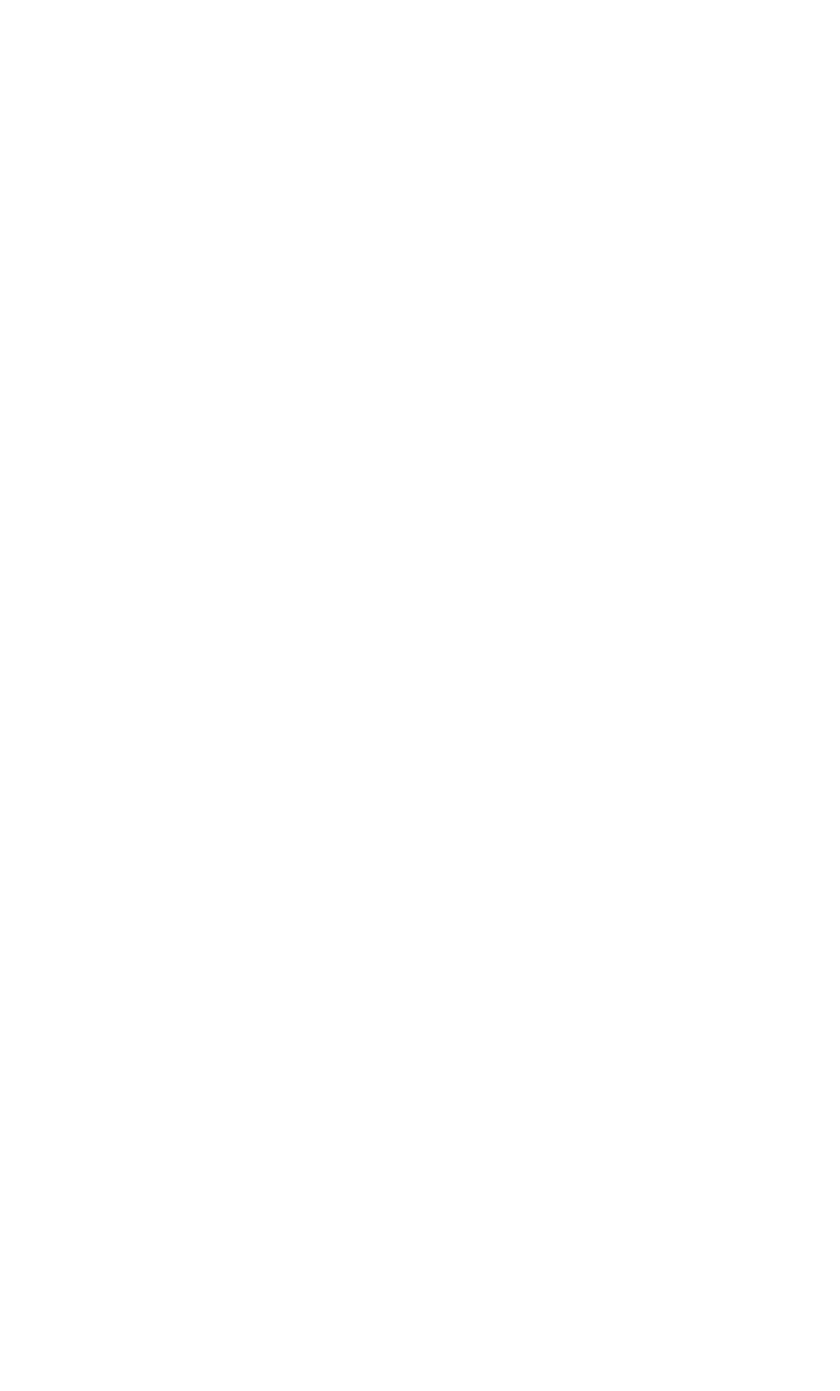 Nanopike logo